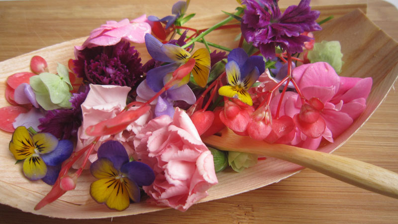 Floral-Touch-Presentatie-01