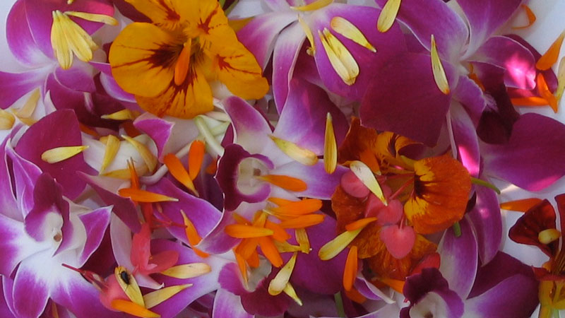 Floral-Touch-Proeverij-01