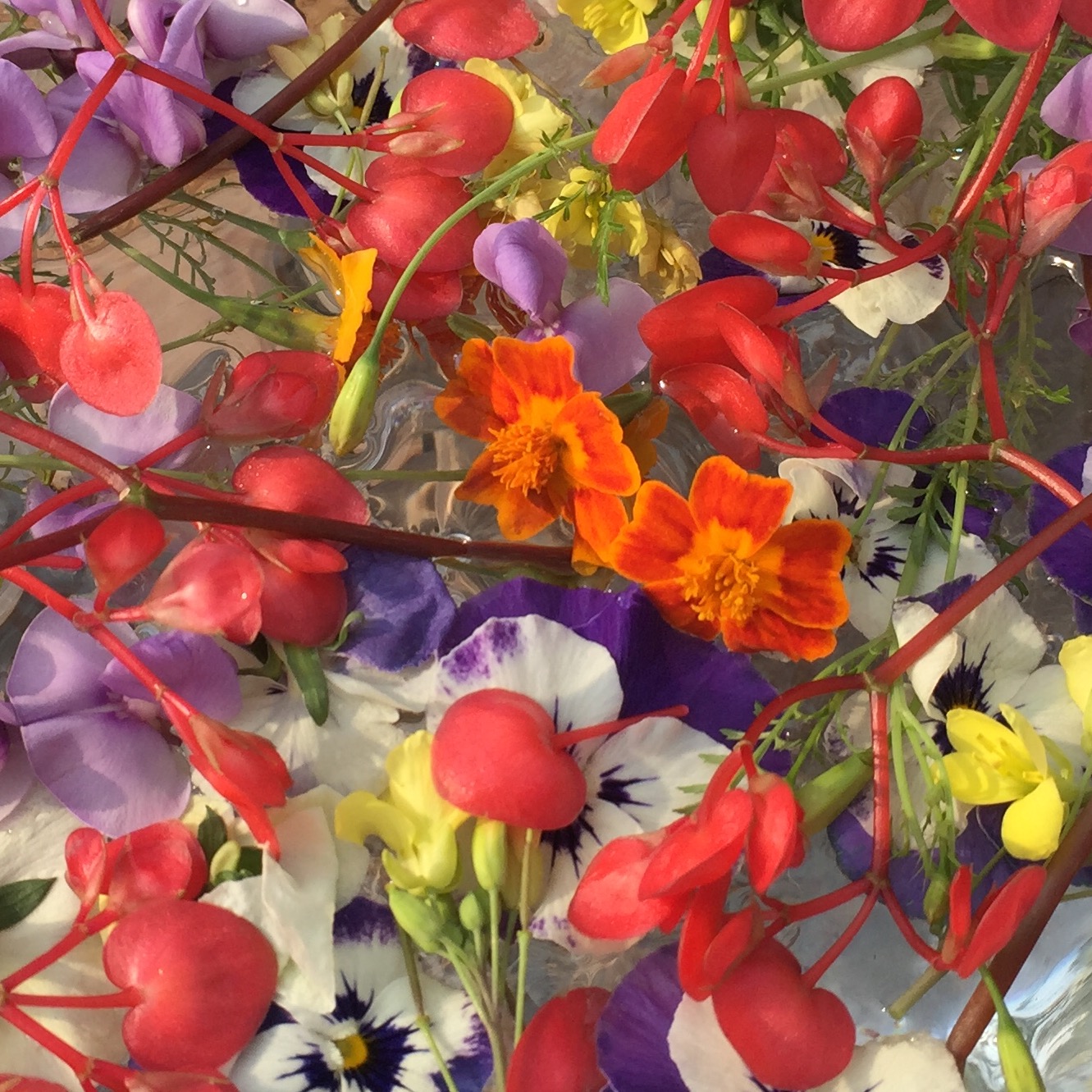 Bloementrip Holygreen schaal met bloemen