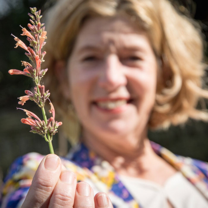 Floral-Touch-Anna-met-dropplant