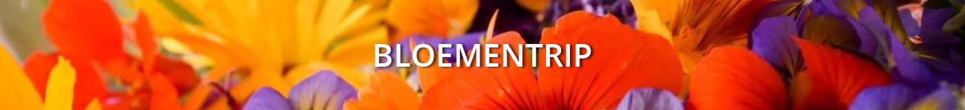 Floral-Touch-slider-bloementrip-juni-2018