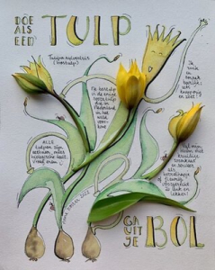 246A85D0-2EAD-44FF-A586-99F8220C98E4_4_5005_c