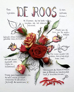 BCDD9871-3758-49FB-A733-B4AE9DC926FF