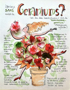 C09AA4DD-35E6-44F2-A54E-FC639A47CBD1