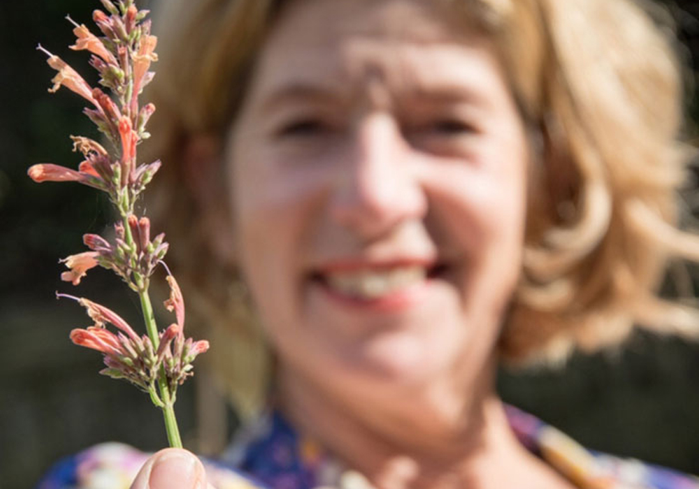 Presentatie-Anna-Dropplant