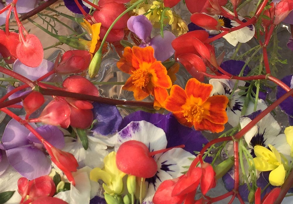 Presentatie-Bloemen-proeverij